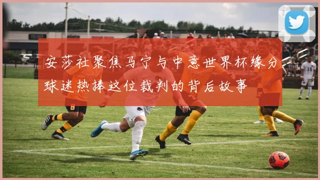 安莎社聚焦马宁与中意世界杯缘分球迷热捧这位裁判的背后故事