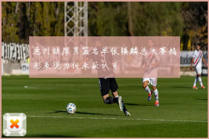 意外缺席男篮名单张镇麟总决赛精彩表现为何未获认可