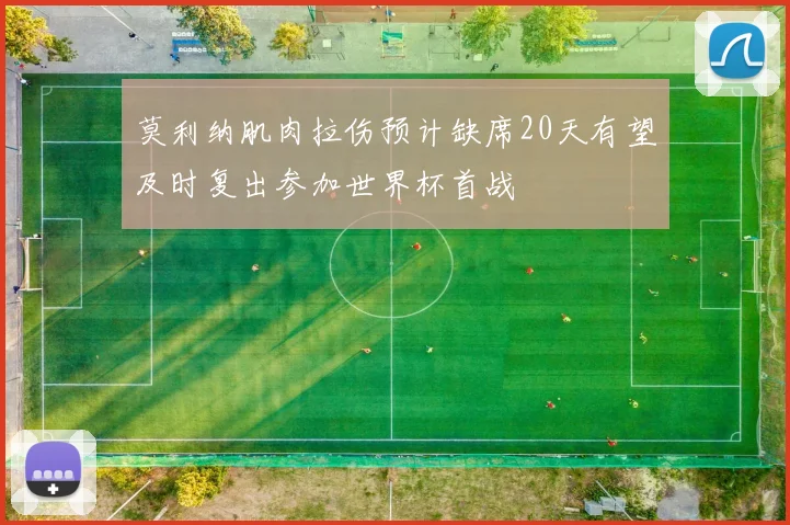 莫利纳肌肉拉伤预计缺席20天有望及时复出参加世界杯首战